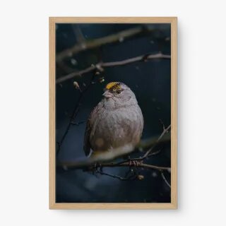 quadro decorativo quadro decorativo