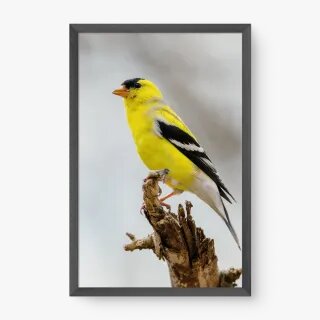 quadro decorativo quadro decorativo