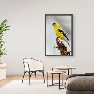 quadro decorativo quadro decorativo