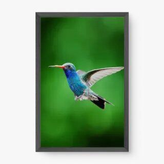 quadro decorativo quadro decorativo