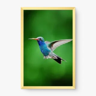 quadro decorativo quadro decorativo