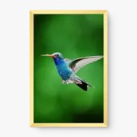 Quadro Decorativo Voo do Beija-Flor – Arte Leve e Encantadora