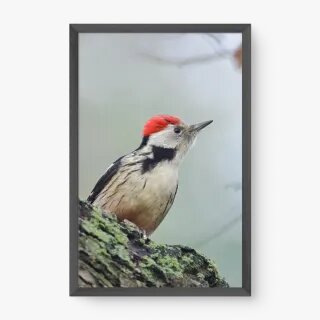 quadro decorativo quadro decorativo