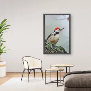 quadro decorativo quadro decorativo