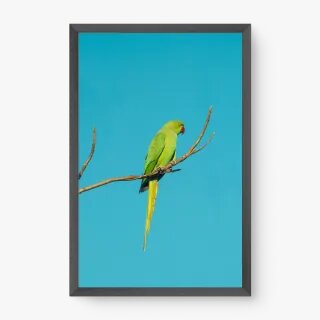 quadro decorativo quadro decorativo