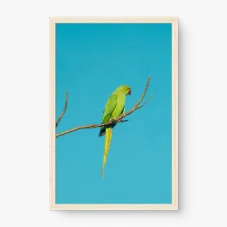 quadro decorativo quadro decorativo