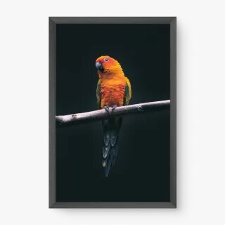 quadro decorativo quadro decorativo