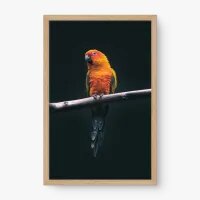 Quadro Decorativo Jandaia Amarela – Arte Tropical e Vibrante