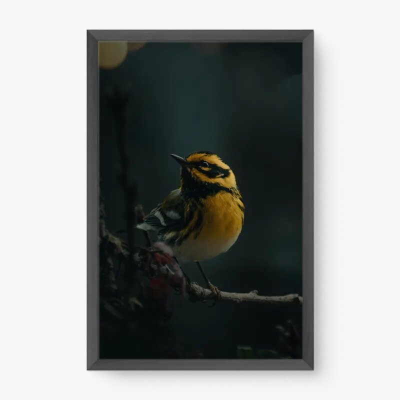 quadro decorativo quadro decorativo