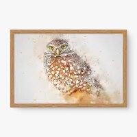Quadro Decorativo Coruja Aquarela - Quadros de animais Quadro Decorativo Coruja Aquarela - Quadros de animais