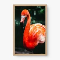 Quadro Decorativo Beleza do Flamingo - Quadros de animais Quadro Decorativo Beleza do Flamingo - Quadros de animais