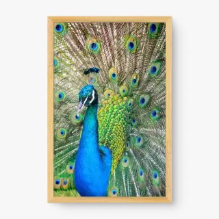 quadro decorativo quadro decorativo
