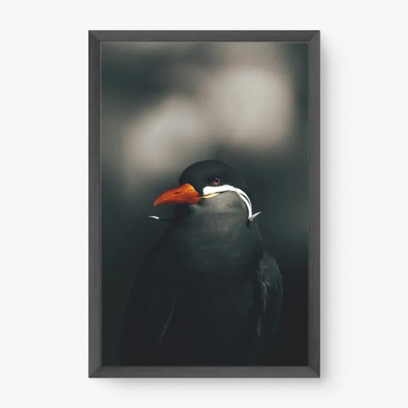 quadro decorativo quadro decorativo