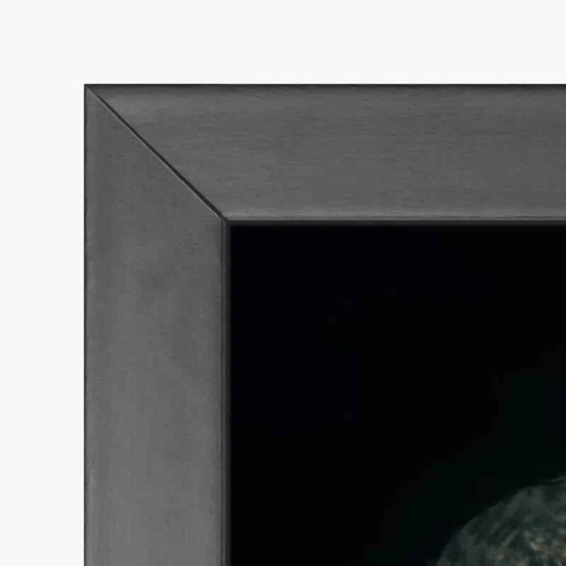 quadro decorativo quadro decorativo