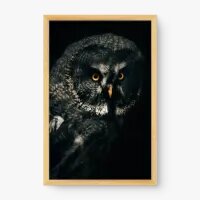 Quadro Decorativo Coruja-cinzenta I - Quadros de animais Quadro Decorativo Coruja-cinzenta I - Quadros de animais