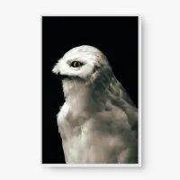 Quadro Decorativo Coruja-das-neves - Quadros de animais Quadro Decorativo Coruja-das-neves - Quadros de animais