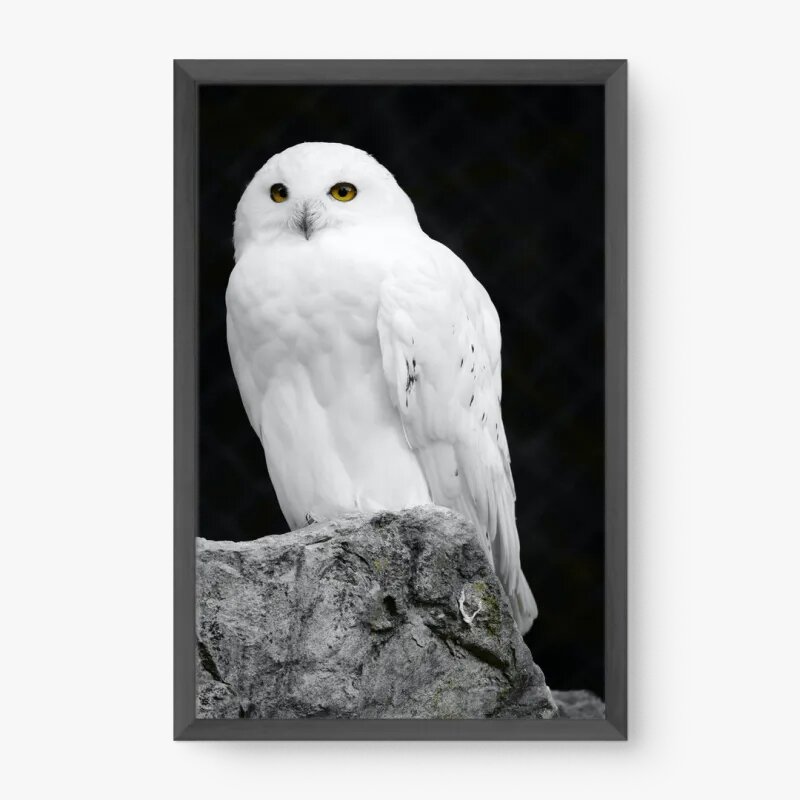 quadro decorativo quadro decorativo