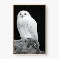 Quadro Decorativo Edwiges - Quadros de animais Quadro Decorativo Edwiges - Quadros de animais