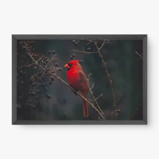 quadro decorativo quadro decorativo