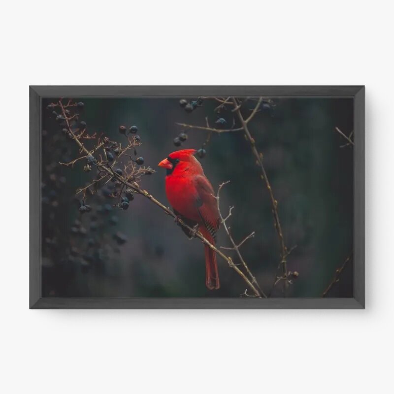 quadro decorativo quadro decorativo
