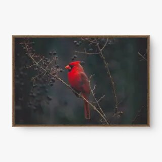 quadro decorativo quadro decorativo