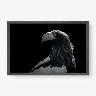 quadro decorativo quadro decorativo