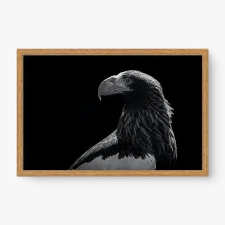 quadro decorativo quadro decorativo