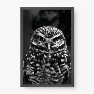 quadro decorativo quadro decorativo