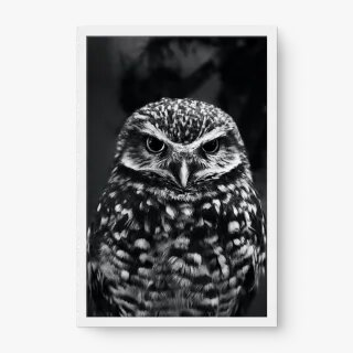 quadro decorativo quadro decorativo