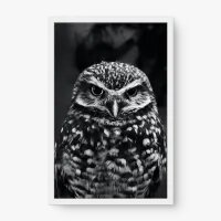 Quadro Decorativo Coruja-Buraqueira P&B – Arte Minimalista e Elegante
