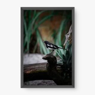 quadro decorativo quadro decorativo