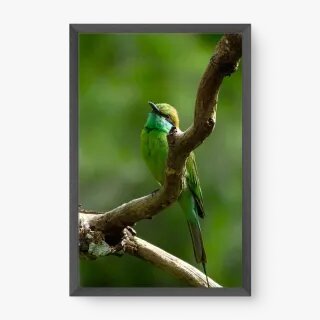 quadro decorativo quadro decorativo