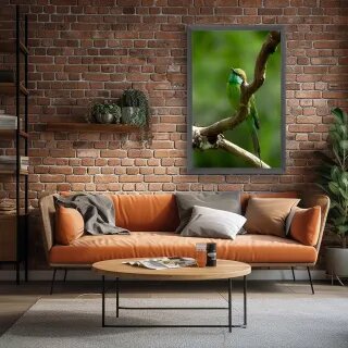 quadro decorativo quadro decorativo