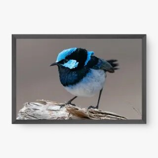 quadro decorativo quadro decorativo