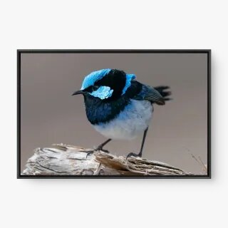 quadro decorativo quadro decorativo