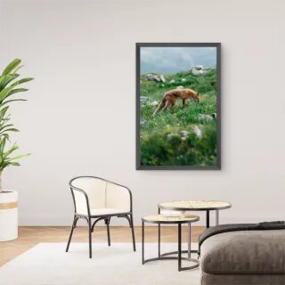 quadro decorativo