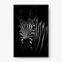 Quadro Decorativo Zebra nas Sombras - Quadros de animais Quadro Decorativo Zebra nas Sombras - Quadros de animais