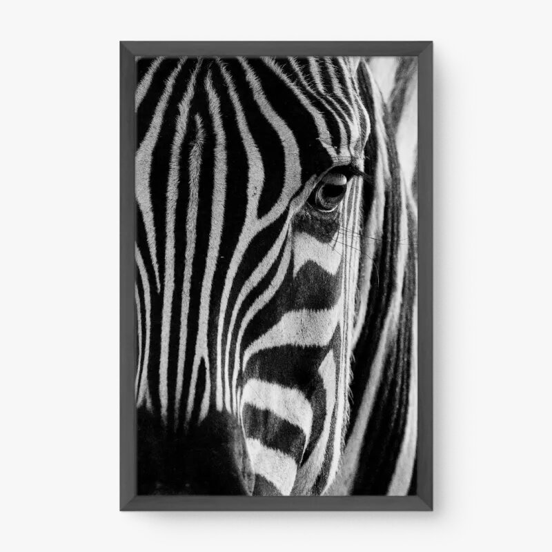 quadro decorativo quadro decorativo