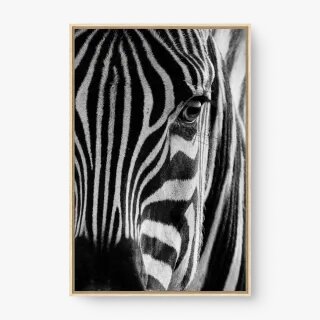 quadro decorativo quadro decorativo