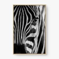 Quadro Decorativo Close na Zebra – Arte Moderna e Elegante Quadro Decorativo Close na Zebra – Arte Moderna e Elegante