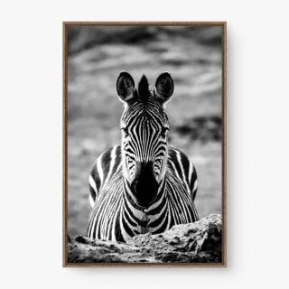 quadro decorativo quadro decorativo