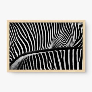 quadro decorativo quadro decorativo