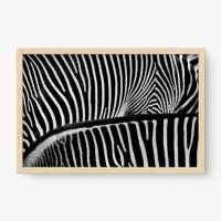 Quadro Decorativo Padrões de Zebras – Arte Moderna e Elegante