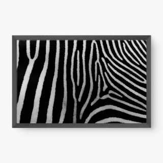 quadro decorativo quadro decorativo