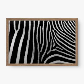 quadro decorativo quadro decorativo