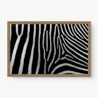 Quadro Decorativo Padrão de Zebra – Arte Moderna e Elegante