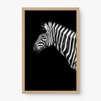 Quadro Decorativo Zebra de Perfil - Quadros de animais Quadro Decorativo Zebra de Perfil - Quadros de animais