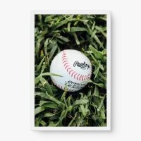 Quadro Decorativo Bola de Beisebol – Arte Esportiva Elegante