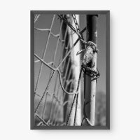 Quadro Decorativo Trave – Arte Esportiva com Impacto