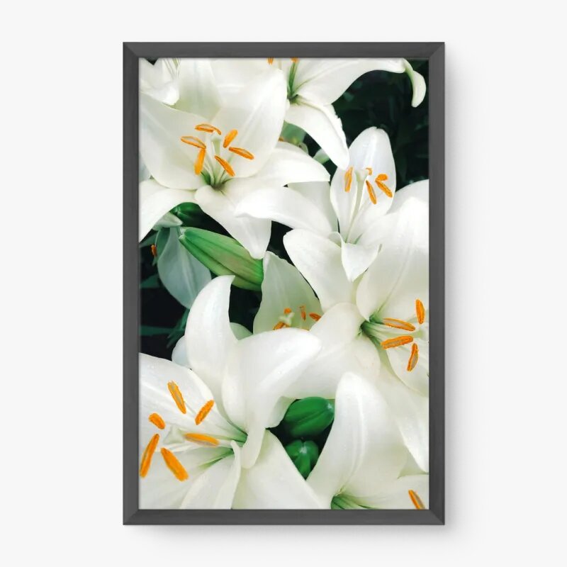 quadro decorativo quadro decorativo